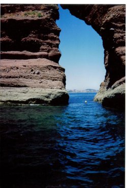 The Cove At Dawlish