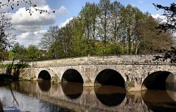 Blandford Forum in Dorset Wallpaper