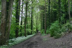 Blandford Forum in Dorset Wallpaper