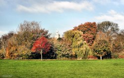Blandford Forum in Dorset Wallpaper