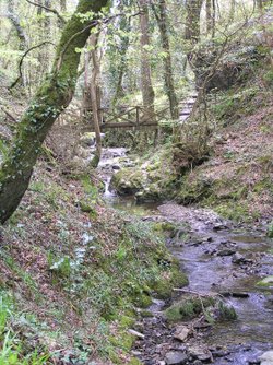 Bridge crossing the river at Lydford Gorge, Devon