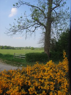 Wheatley, Oxfordshire