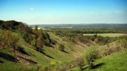Telegraph Hill, Lilley