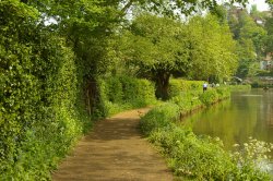 River Wey at Guildford Wallpaper