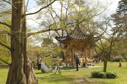 Wisley garden Wallpaper