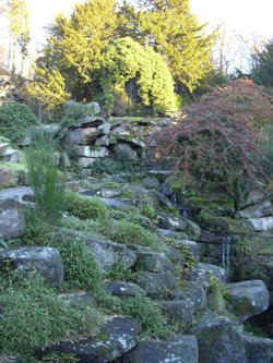 The Strid