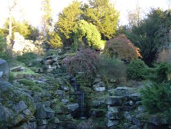 The Strid garden Wallpaper