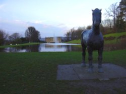 War Horse, Emperor Fountain & Chatsworth House Wallpaper
