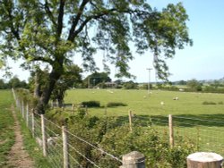 Nr. Bishop Thornton. Ripley. North Yorks