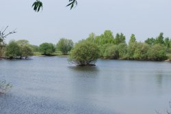 Croxall Lakes Wallpaper