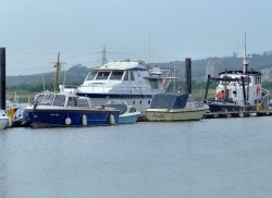 The marina