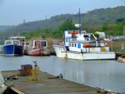 The marina