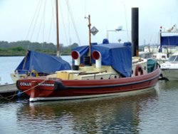The marina