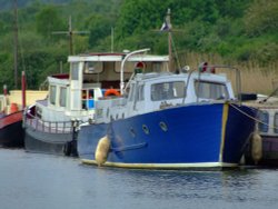 The marina