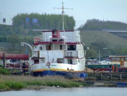 The marina