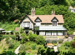 Shanklin Chine Wallpaper