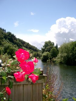 By the river at Symonds Yat