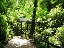 Shanklin Chine Wallpaper