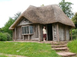 Killerton house gardens Wallpaper