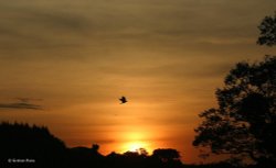 Shillingstone in Dorset Wallpaper