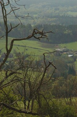 Newlands corner