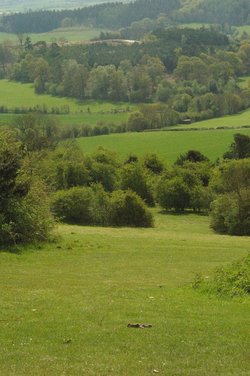 Newlands corner