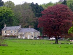 Allen Banks, Northumberland