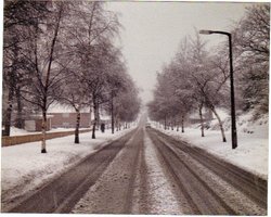 Snow in Bramcote
