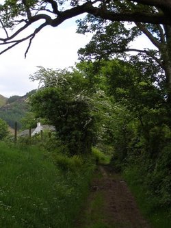 Cottage near Ennerdale