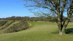 colley hill
