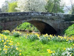 The little bridge at Sinnington