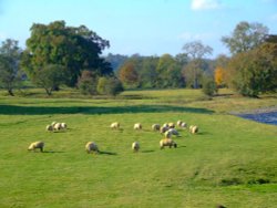 Castle grounds Wallpaper