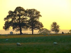 Brougham castle grounds Wallpaper