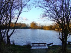 Eastrington pond Wallpaper