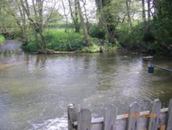 Stockwith Mill Wallpaper