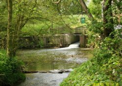 Stockwith Mill Wallpaper