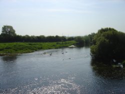 River Stour Wallpaper