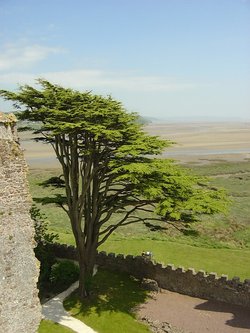 View from Laugharne Castle, Camarthenshire.