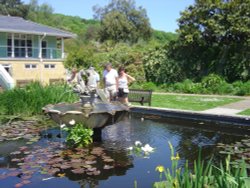 Ventnor, Isle of Wight Wallpaper
