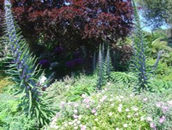 Ventnor, Isle of Wight Wallpaper