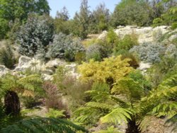 Ventnor, Isle of Wight Wallpaper