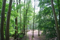 Brandon Marsh Wallpaper