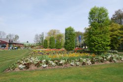 Flowerbeds Wallpaper