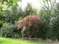 The grounds of Gibside, Burnopfield. Wallpaper
