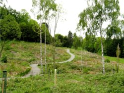 The grounds of Gibside, Burnopfield. Wallpaper