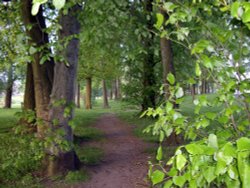 Staindrop Road Wallpaper