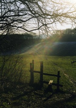 A Wintry Day Near Cobham, Kent.