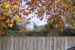 Union Jack thru the Fall Foliage Wallpaper