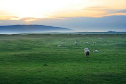 Fields near Abersoch