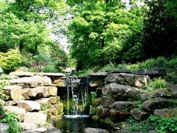 The Dene, Saltwell Park, Gateshead Wallpaper